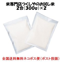 画像2: 佐賀県白石町産　七夕コシヒカリ（減農薬）　令和７年産新米１等米 お試し米２合（３００ｇ）×２ 全国送料無料！（ポスト投函）
