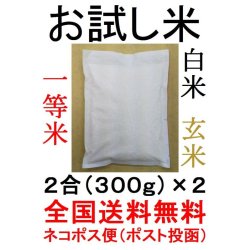 画像3: 佐賀県白石町産　七夕コシヒカリ（減農薬）　令和７年産新米１等米 お試し米２合（３００ｇ）×２ 全国送料無料！（ポスト投函）