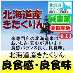 画像1: 北海道産きたくりん高度クリーン栽培（減農薬） 令和６年産１等米　お試し米２合（３００ｇ）×２ 全国送料無料！メール便（ポスト投函）！