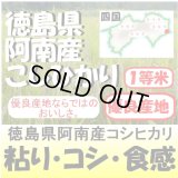 徳島県阿南産コシヒカリ　令和５年産１等米 お試し米２合（３００ｇ）×２ 全国送料無料！（ポスト投函）