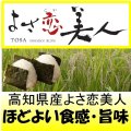 高知県産よさ恋美人　令和７年産新米１等米　１０ｋｇ