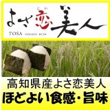 高知県産よさ恋美人　令和７年産新米１等米　１０ｋｇ