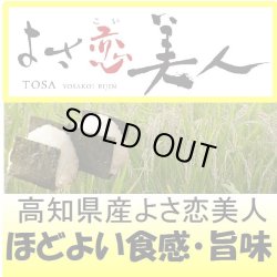 画像1: 高知県産よさ恋美人　令和６年産新米２等米　１０ｋｇ