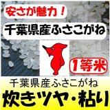 千葉県産ふさこがね　令和６年産新米２等米 お試し米２合（３００ｇ）×２ 全国送料無料！ネコポス便（ポスト投函）！　