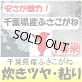 千葉県産ふさこがね　令和６年産新米２等米 お試し米２合（３００ｇ）×２ 全国送料無料！ネコポス便（ポスト投函）！　