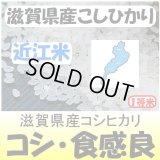 滋賀県甲賀産コシヒカリ（近江米）　令和３年産１等米 お試し米２合（３００ｇ）×２ 全国送料無料！（ポスト投函）