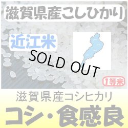 画像1: 滋賀県甲賀産コシヒカリ（近江米）　令和３年産１等米 お試し米２合（３００ｇ）×２ 全国送料無料！（ポスト投函）