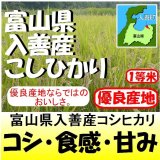 富山県入善産コシヒカリ　令和６年産新米１等米 お試し米２合（３００ｇ）×２ 全国送料無料！（ポスト投函）