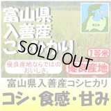 富山県入善産コシヒカリ　令和５年産１等米　２５ｋｇ玄米