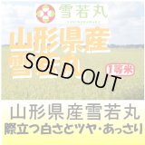 山形県産　雪若丸　令和４年産１等米・特Ａ米　５ｋｇ