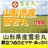 山形県産　雪若丸　令和６年産１等米・特Ａ米 お試し米２合（３００ｇ）×２ 全国送料無料！（ポスト投函）