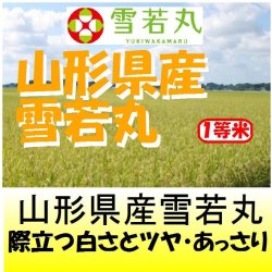 画像1: 山形県産　雪若丸　令和６年産１等米・特Ａ米 お試し米２合（３００ｇ）×２ 全国送料無料！（ポスト投函）