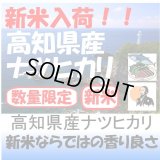 高知県産ナツヒカリ　令和５年産２等米　１０ｋｇ