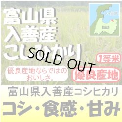 画像1: 富山県入善産コシヒカリ　令和５年産１等米　５ｋｇ