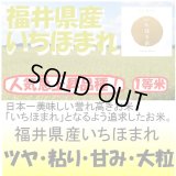 福井産産いちほまれ　令和４年産１等米　５ｋｇ