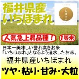 福井産産いちほまれ　令和７年産新米１等米　３０ｋｇ玄米