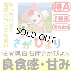 画像1: 佐賀県白石産さがびより　令和３年産１等米・特Ａ米　１０ｋｇ