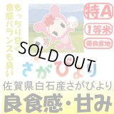 佐賀県白石産さがびより　令和３年産１等米・特Ａ米 お試し米２合（３００ｇ）×２ 全国送料無料！（ポスト投函）