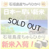 沖縄県石垣島産ちゅらひかり　令和６年産新米１等米　３０ｋｇ玄米