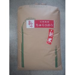 画像2: 沖縄県石垣島産ちゅらひかり　令和５年産１等米　２５ｋｇ玄米