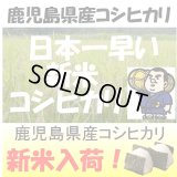 鹿児島県産　コシヒカリ　令和６年産新米１等米　５ｋｇ