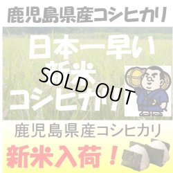 画像1: 鹿児島県産　コシヒカリ　令和６年産新米１等米　５ｋｇ