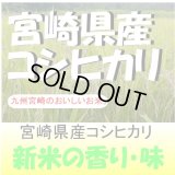 宮崎県産コシヒカリ　令和６年産新米１等米 お試し米２合（３００ｇ）×２ 全国送料無料！（ポスト投函）