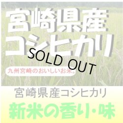 画像1: 宮崎県産コシヒカリ　令和６年産新米１等米 お試し米２合（３００ｇ）×２ 全国送料無料！（ポスト投函）