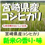 宮崎県産　コシヒカリ　令和７年産新米１等米　５ｋｇ