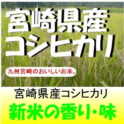 画像1: 宮崎県産　コシヒカリ　令和７年産新米１等米　５ｋｇ