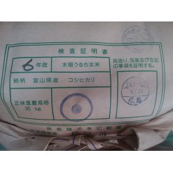 画像5: 富山県入善産コシヒカリ　令和６年産新米１等米　５ｋｇ