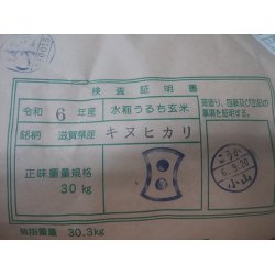 画像3: 滋賀県甲賀産キヌヒカリ（減農薬）（近江米）　令和６年産新米２等米　３０ｋｇ玄米