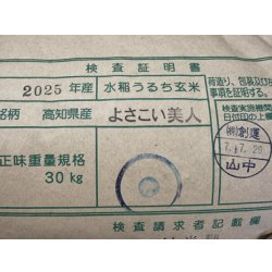 画像4: 高知県産よさ恋美人　令和７年産新米１等米　３０ｋｇ玄米