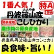 画像1: 兵庫県丹波篠山産コシヒカリ　令和５年産１等米・特Ａ米 お試し米２合（３００ｇ）×２ 全国送料無料！ネコポス便（ポスト投函）！　 (1)