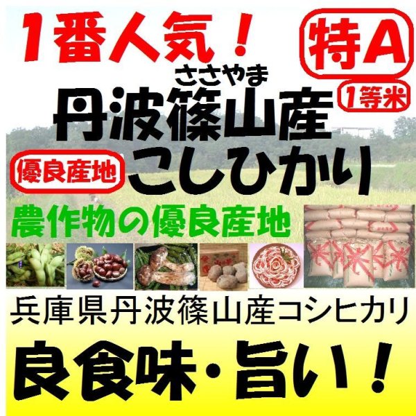 画像1: 兵庫県丹波篠山産コシヒカリ　令和５年産１等米・特Ａ米　２５ｋｇ玄米 (1)