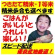 画像4: 沖縄県石垣島産ちゅらひかり　令和５年産１等米　２５ｋｇ玄米 (4)