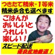 画像4: 高知県産よさ恋美人　令和５年産１等米　２５ｋｇ玄米 (4)