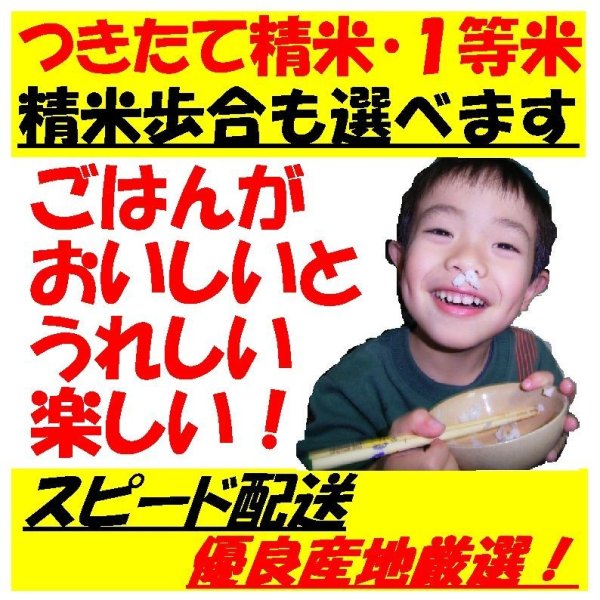 画像4: 兵庫県丹波篠山産コシヒカリ　令和５年産１等米・特Ａ米　２５ｋｇ玄米 (4)