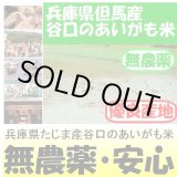 画像: 兵庫県但馬産　谷口のあいがも米（無農薬）　令和３年産　５ｋｇ