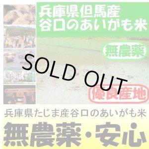 画像: 兵庫県但馬産　谷口のあいがも米（無農薬）　令和３年産 お試し米２合（３００ｇ）×２ 全国送料無料！（ポスト投函）