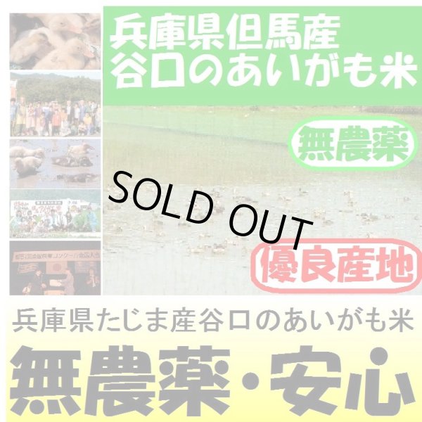 画像1: 兵庫県但馬産　谷口のあいがも米（無農薬）　令和３年産　１０ｋｇ (1)