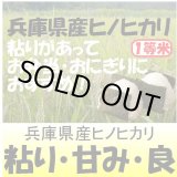 画像: 兵庫県東条産ヒノヒカリ　令和５年産１等米　５ｋｇ