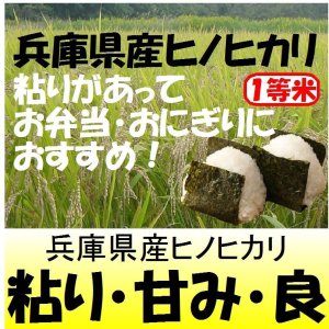 画像: 兵庫県東条産ヒノヒカリ　令和６年産新米１等米　１０ｋｇ