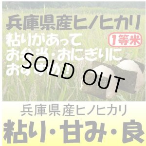 画像: 兵庫県東条産ヒノヒカリ　令和５年産１等米　１０ｋｇ