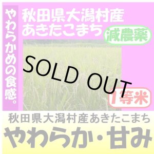 画像: 秋田県大潟村産あきたこまち（減農薬）　令和５年産１等米　１０ｋｇ