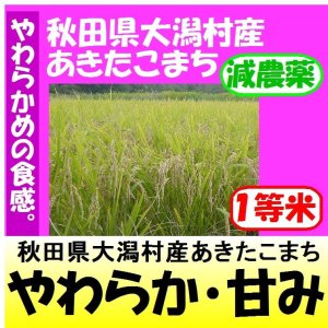 画像: 秋田県大潟村産あきたこまち（減農薬）　令和６年産新米１等米　３０ｋｇ玄米