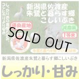 画像: 新潟県佐渡産朱鷺と暮らす郷こしいぶき（減農薬）　令和３年産１等米　５ｋｇ