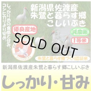 画像: 新潟県佐渡産朱鷺と暮らす郷こしいぶき（減農薬）　令和３年産１等米　５ｋｇ