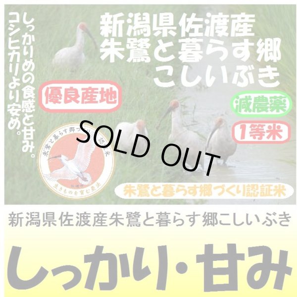 画像1: 新潟県佐渡産朱鷺と暮らす郷こしいぶき（減農薬）　令和３年産１等米　５ｋｇ (1)