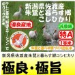 画像1: 新潟県佐渡産朱鷺と暮らす郷コシヒカリ（減農薬）　令和５年産２等米　５ｋｇ (1)